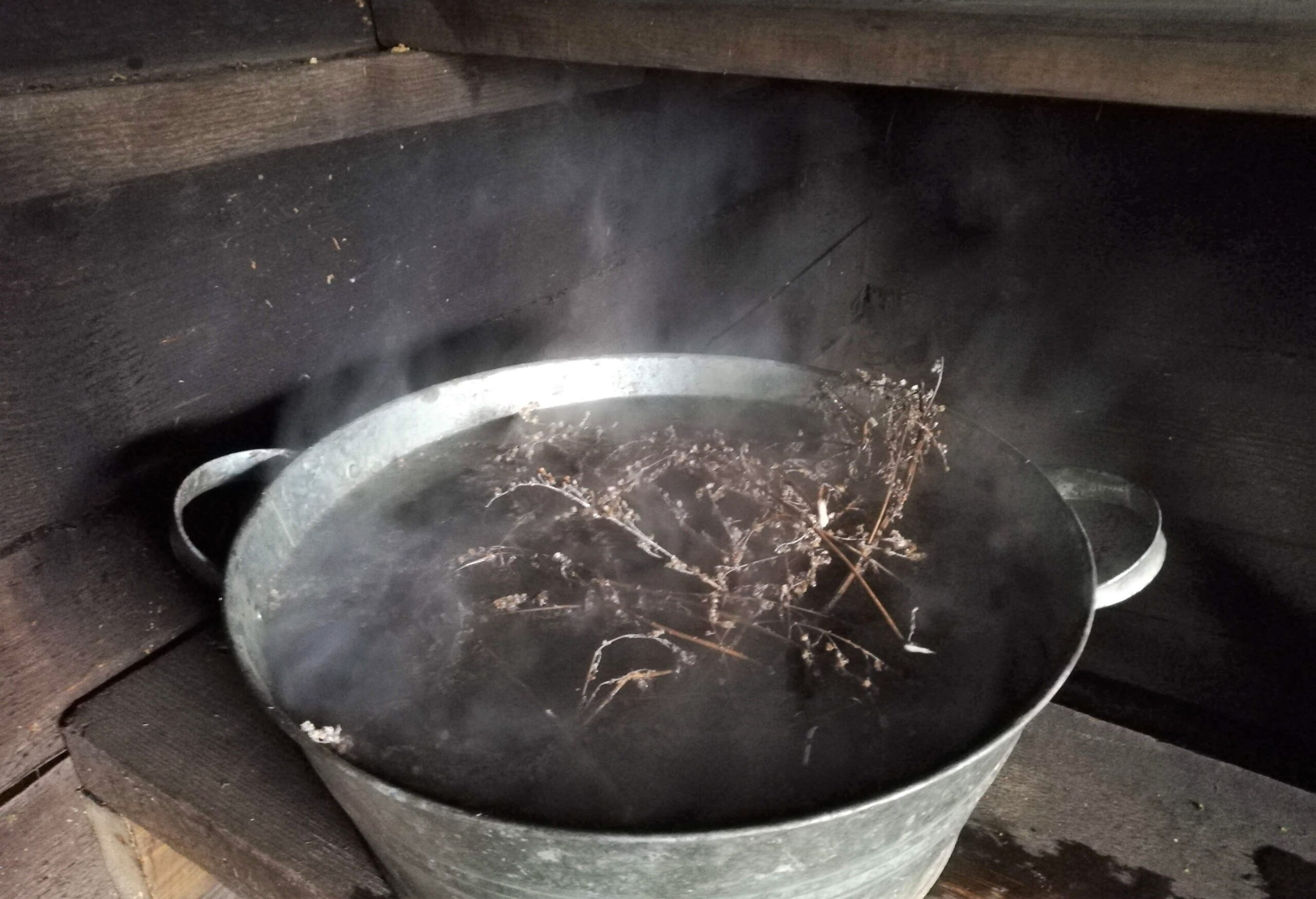 Herbs steeping in a tin basin